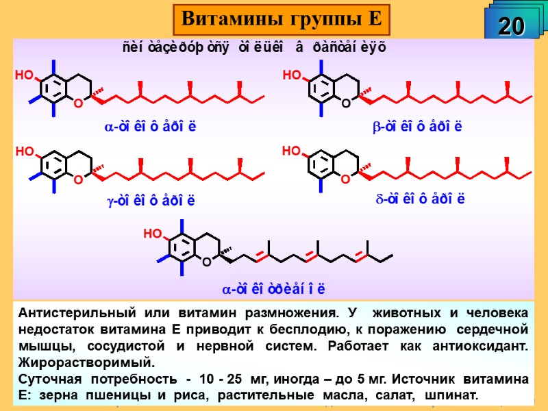 А.М. Чибиряев 